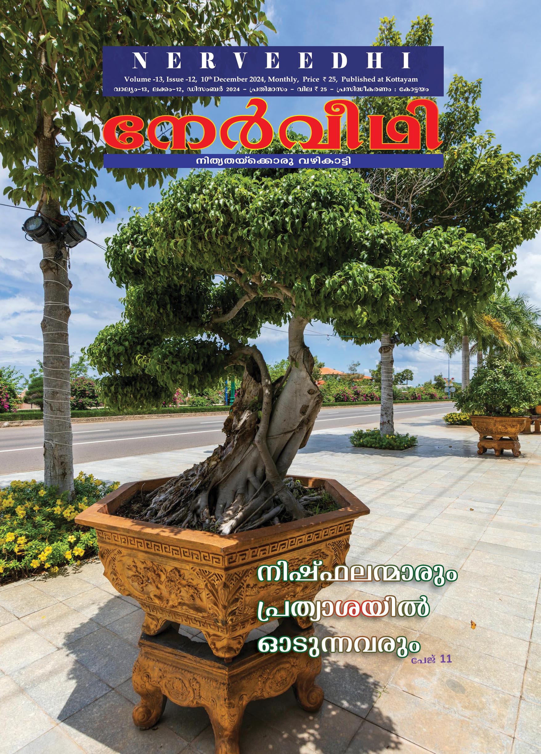 Nerveedhi December 2024
